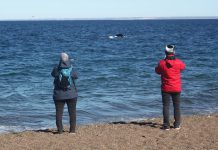 Cuál es la mejor playa de la Argentina, según la IA