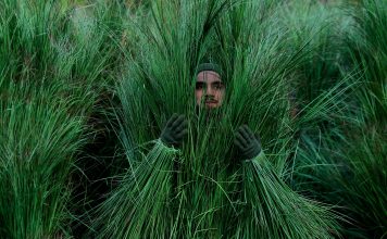Así fue el espectacular show de mediotiempo de Bad Bunny en el Super Bowl 2026: Lady Gaga, Ricky Martin y un profundo espíritu latino