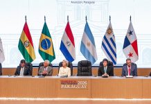 Con el aval del Senado, Milei se encamina a ser el primer presidente de la región en aprobar el acuerdo Mercosur-UE: qué implica