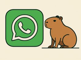 Así se puede activar el “modo Capibara” en WhatsApp en marzo 2026