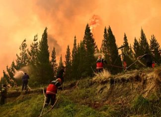 Incendios en Chubut: siguen peritando celulares de una comunidad mapuche y tierra con restos de líquido acelerante