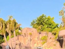 La recorrida por la lujosa mansión de Carlos Tevez: pileta con cascada, un museo con los tesoros de su carrera y la mini Bombonera