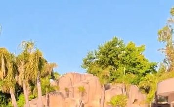 La recorrida por la lujosa mansión de Carlos Tevez: pileta con cascada, un museo con los tesoros de su carrera y la mini Bombonera