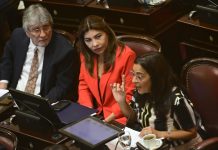 El Senado define el reparto de las Bicamerales y se activa una feroz pelea entre LLA y el kirchnerismo