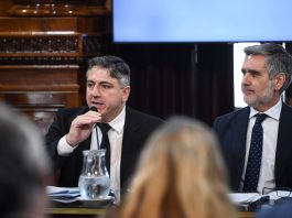 El Senado dictaminó el acuerdo de libre comercio entre el Mercosur y Singapur