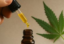 Misiones disolvió la empresa provincial de cannabis medicinal a fin de “apuntalar la eficiencia del Estado”