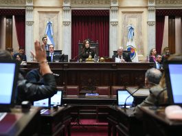 El Senado prorrogó el programa nacional de entrega de armas voluntaria hasta diciembre de 2027