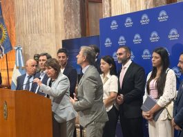 El Senado se prepara para una semana con mucha actividad y los aliados miran a los libertarios por Ficha Limpia