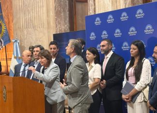 El Senado se prepara para una semana con mucha actividad y los aliados miran a los libertarios por Ficha Limpia