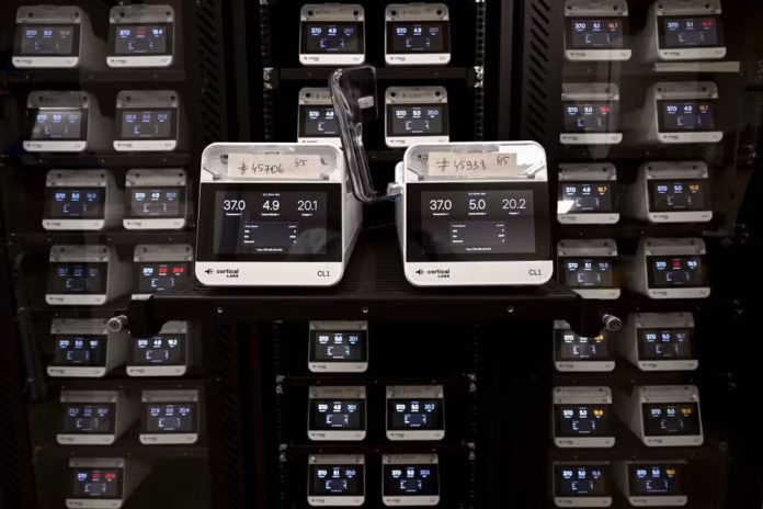 Chip con neuronas humanas aprende a jugar al Doom e impulsa la investigación sobre computadoras biológicas