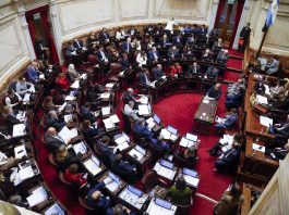 Hoy sesiona el Senado y LLA llega sin una estrategia clara para responder críticas por el pliego de Michelli