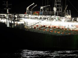 La flota extranjeras china extrae en la milla 201 hasta cuatro veces más recursos naturales que la pesca argentina