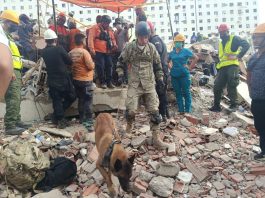 La misión humanitaria argentina en Venezuela rescató a dos personas entre los escombros con la ayuda de un can especializado