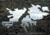 La OEA ratificó su apoyo al reclamo argentino sobre la soberanía de las Malvinas antes de la exposición de Quirno en la ONU