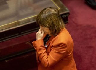 El Senado pospuso la ley de propiedad privada: habrá cuarto intermedio hasta el 6 de agosto