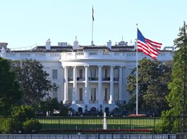 Trump ingresó US$1400 millones en criptomonedas en el primer año de su segundo mandato