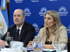 El Senado reanuda el debate por la ley de Sociedades: expondrán ex funcionarios y una empresa geoespacial