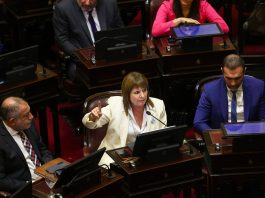 Jornada clave en el Senado: hoy se votará la ley de propiedad privada tras darse de baja la venta de tierras a extranjeros