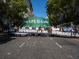 Conflicto universitario: la Justicia intimó al Gobierno para que cumpla con la Ley de Financiamiento