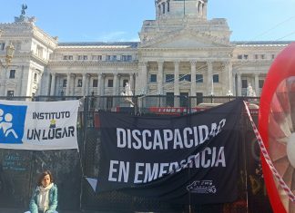 Diputados: con apoyo del “ala política”, La Libertad Avanza apura un texto para una nueva ley de Discapacidad