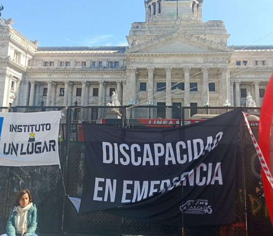 Diputados: con apoyo del “ala política”, La Libertad Avanza apura un texto para una nueva ley de Discapacidad