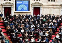 Paulón: “El oficialismo reconoció que con discapacidad y endeudamiento hay problemas”