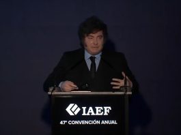Tras los anuncios sobre Malvinas, Milei habló en clave electoral: “Dudo que los argentinos sean tan tontos de querer volver al pasado”