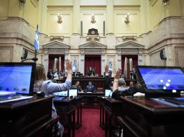 El Senado aprobó la amortización anticipada en Ganancias para inversiones desde los USD 12 millones
