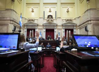 El Senado aprobó la amortización anticipada en Ganancias para inversiones desde los USD 12 millones