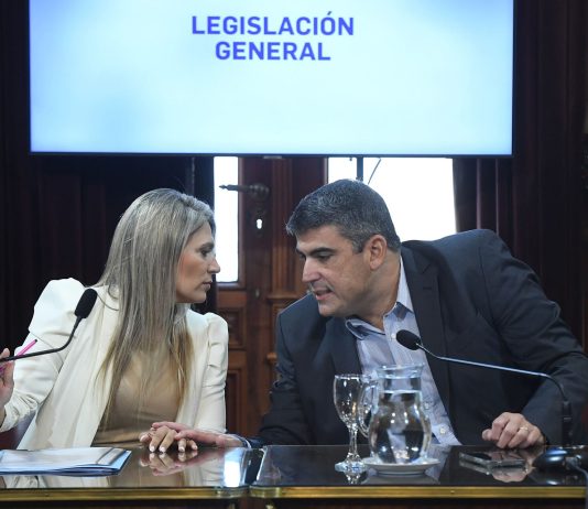 El Senado busca consensuar la creación de un registro de deudores alimentarios morosos