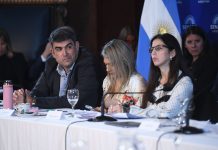 En plena puja con los aliados, el Gobierno busca acelerar un acuerdo en el Senado para cambiar la ley de salud mental