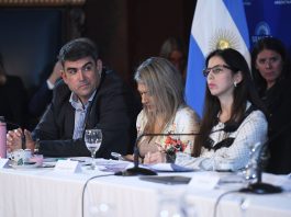 En plena puja con los aliados, el Gobierno busca acelerar un acuerdo en el Senado para cambiar la ley de salud mental
