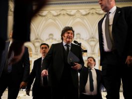 Javier Milei dijo que está «supertranquilo» sobre sus chances de reelección: «No veo a los argentinos votando para atrás»