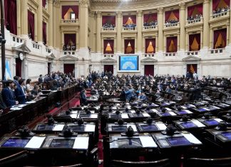 La UBA lanzó una plataforma para rastrear los votos, proyectos e intervenciones de cada diputado y senador en el Congreso